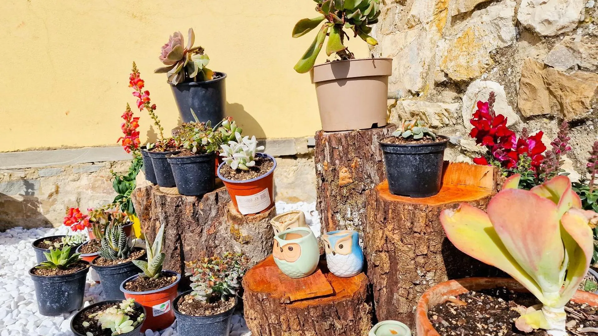 Bed & Breakfast Villetta Dei Fagiani - B&B Montauto  Italy