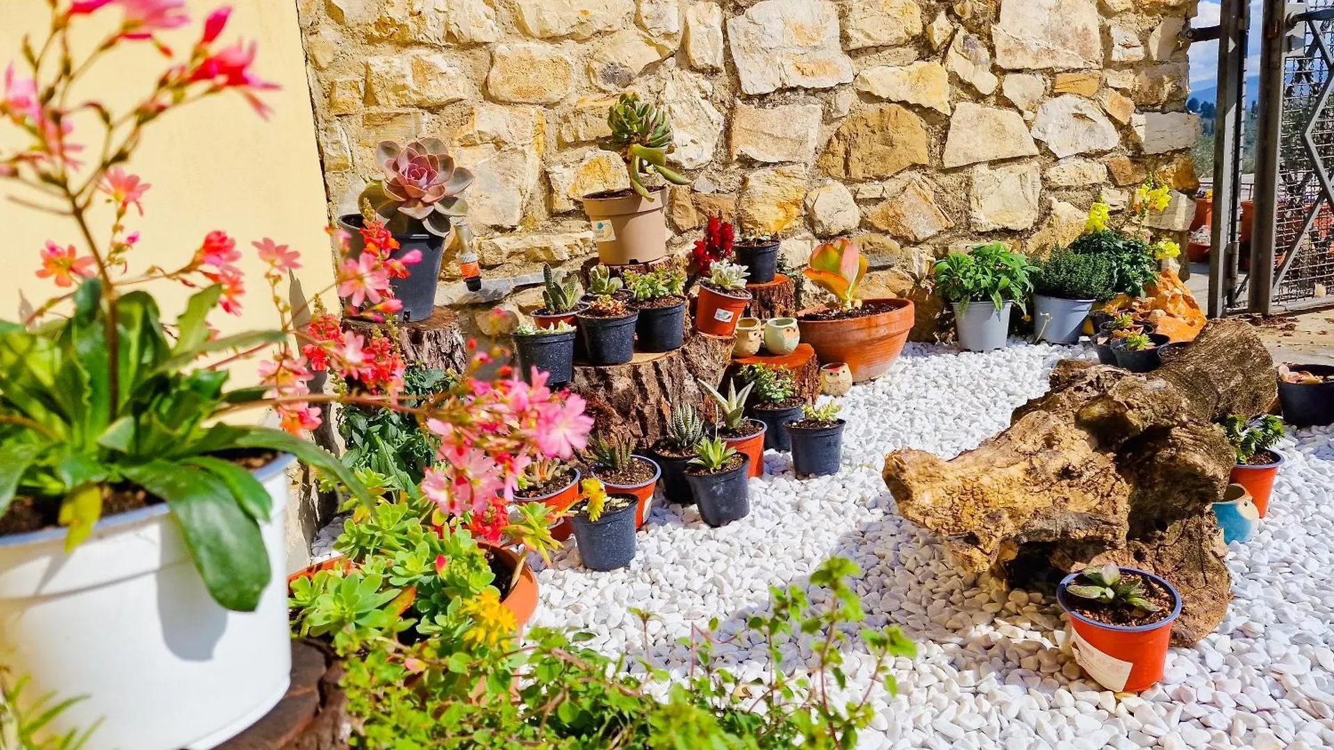 Bed & Breakfast Villetta Dei Fagiani - B&B Montauto