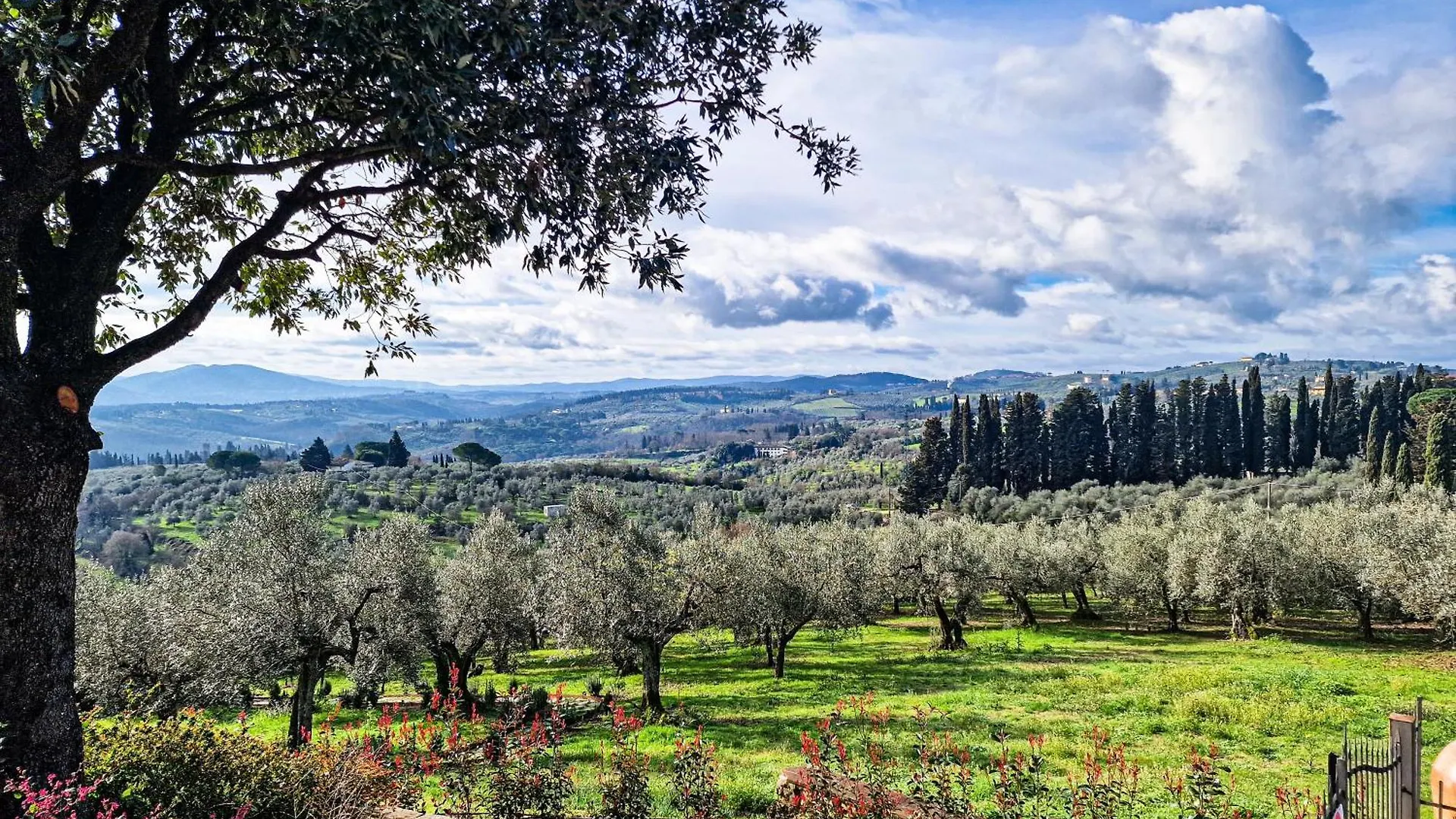 Bed & Breakfast Villetta Dei Fagiani - B&B Montauto