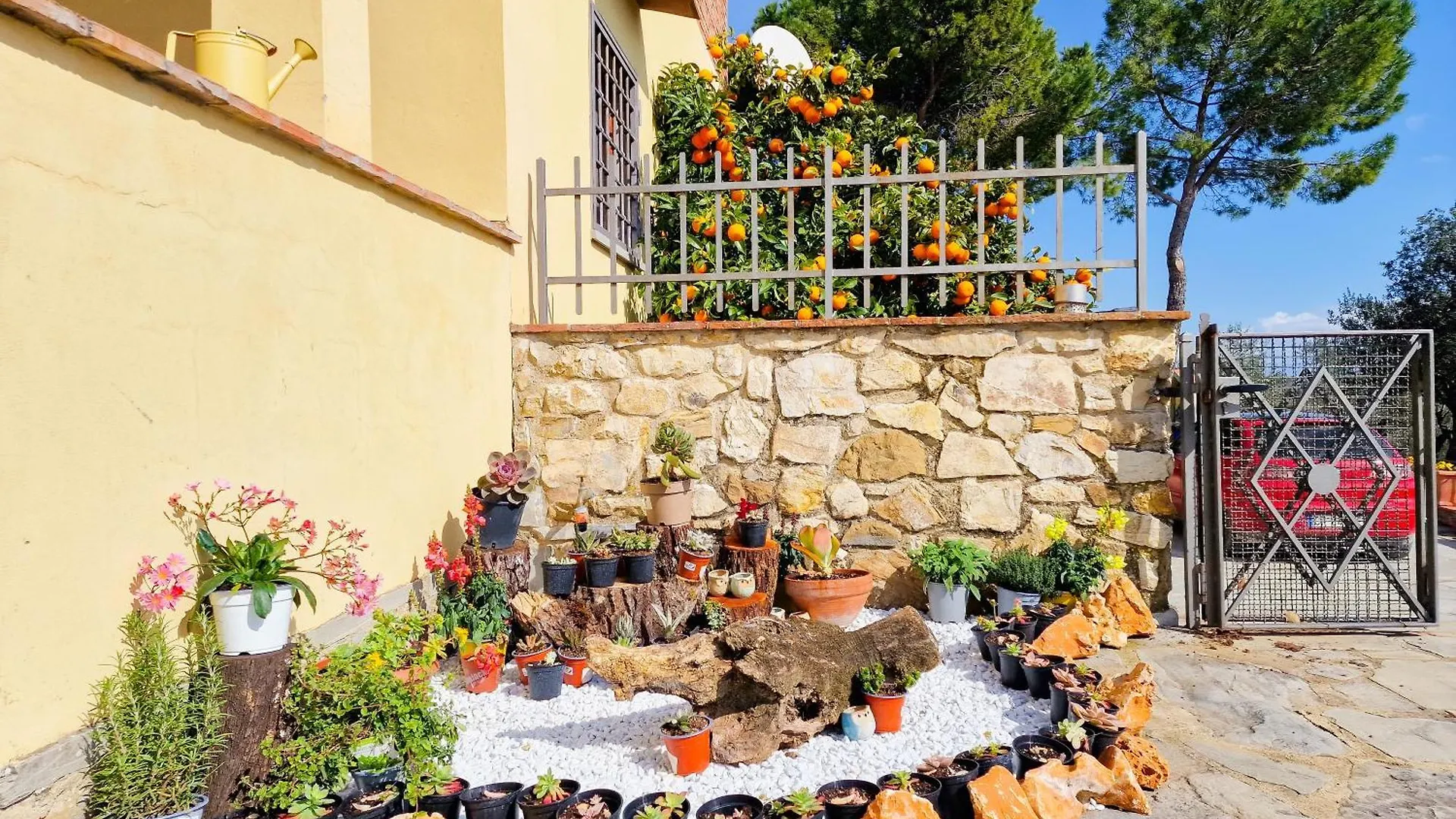 Villetta Dei Fagiani - B&B Montauto